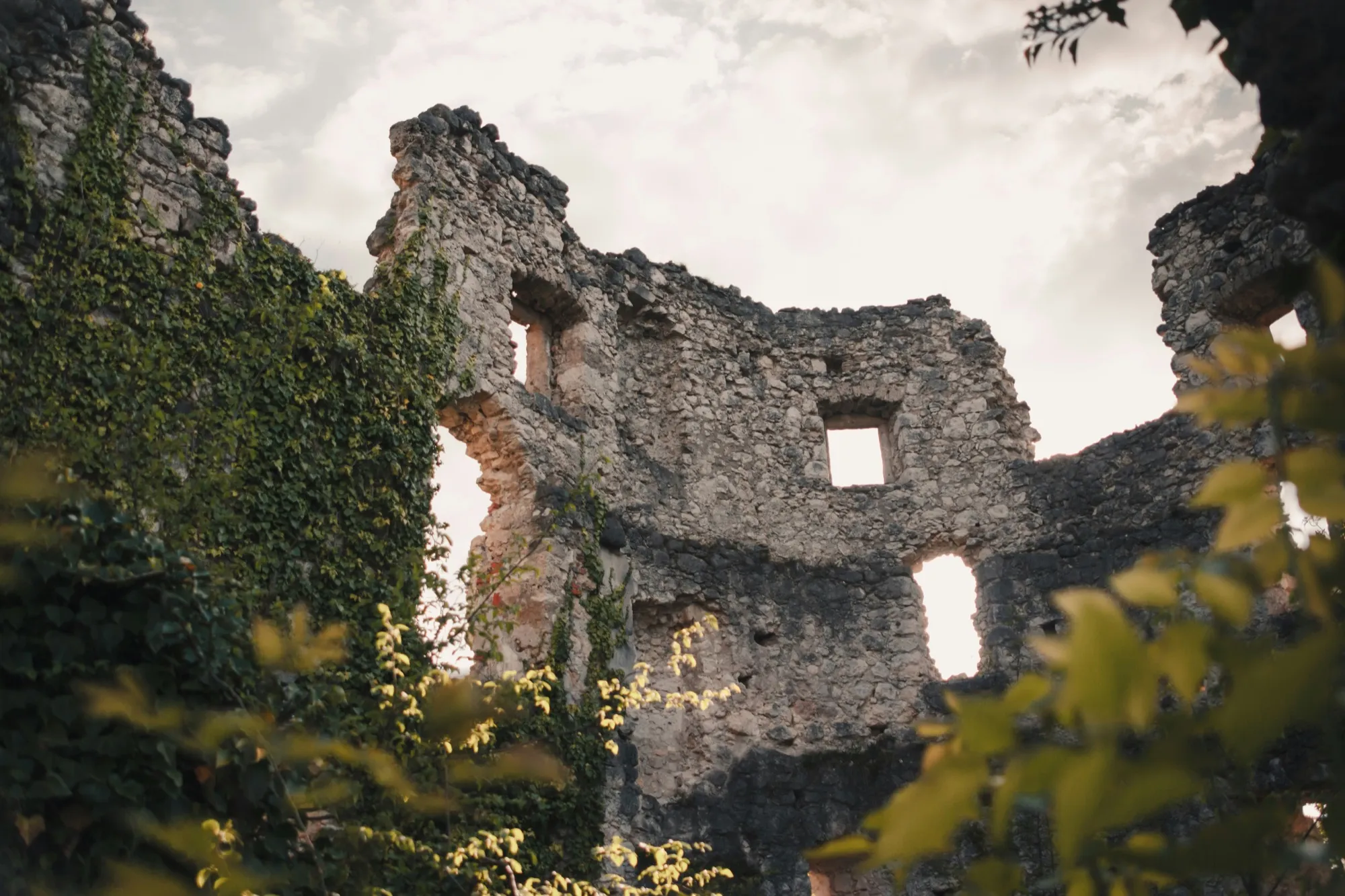 Ivy-covered stone walls of the old Samobor castle ruins